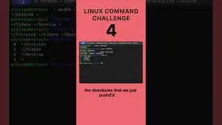 Level 4 - Linux Command Challenge #linux #macos #cmd #terminal #learning #challenge #challengeshorts