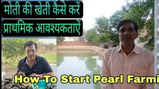 How to start freshwater pearl Farming 9210215738