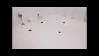 UAV Formation: 5 Quads Circling