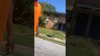 Тур по гетто через Атланту