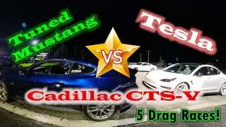 Tesla Drag Races Tuned Mustang, CTS-V, and others!  5 Races!