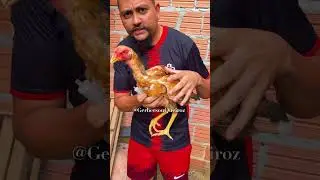 Como tratar peito seco em aves/ Coccidiose