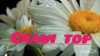 Gnawa lm3alm Ayoub موسيقى ݣناوا جدبة top