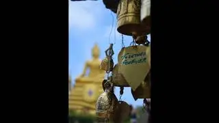 Bring me Beer ( Pub Best  Music By Tata Gypsy WizDj )
