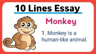 10 lines on Monkey 🐒 in english || Monkey essay in english || essay on monkey 🐒 in english