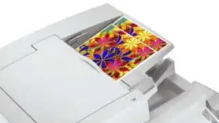 Cheap Color Copies