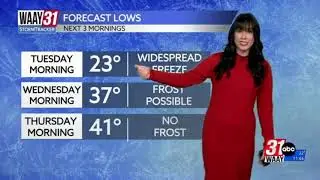 Meteorologist Amber Kulick Demo Reel 2025