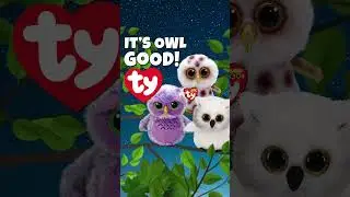 Cozy Owl Bundle at TY.COM