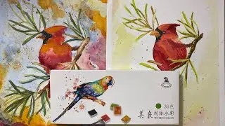 Mei Liang review | WATERCOLOUR PAINT ALONG WITH ME