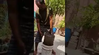 PART-1 #transfer #of #plants #tree #environment #nature #save #trees #love #fresh #india #shorts