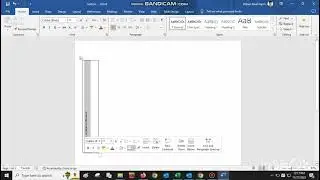how to write Vertical in MS word