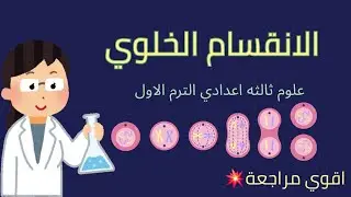 شرح الانقسام الخلوي – الجزء الثالث | تبسيط وفهم سريع لطلاب تالتة إعدادي