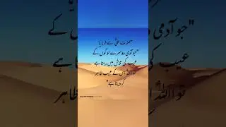HazratvAli Quotes|Quoted|Knowledge Hub|#ytshorts #arabic #motivation #wisdom #ytshorts #shorts