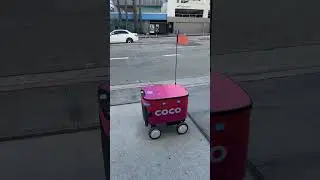 Smart delivery robot #automobile