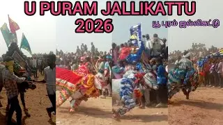 UPURAM Jallikattu 2026 Big Bull Festival  near hosur VTN NTC Bulls#jallikattu #hosur #tvk #tamilnadu