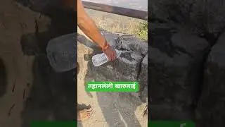 तहानलेली खारुताई #information #Squirrel#farming #history #pahadi #shorts #virel #blog #love
