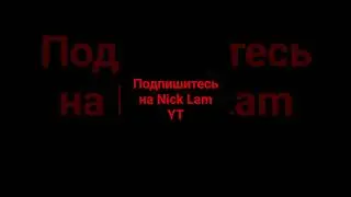 Подпишитесь На Nick Lam YT