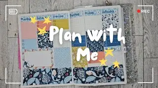 Plan With Me | Bee6 PWM | B6 PWM 