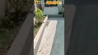 Snake Goes in Police Station |snake rescue in police #shorts