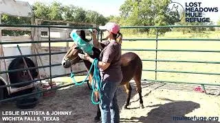 Leslie Battista and Johnny, Mule Training Challenge 2023