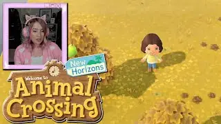Tom Nook Is A Dirty Lying Tory & Among Us With Friends!