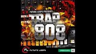 TRAP808 - Trap Samples & Loops - Hip Hop & Trap Cnstruction Kits - Download Royalty Fre WAV REX