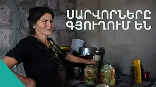 Հարսներն ափսոս են
