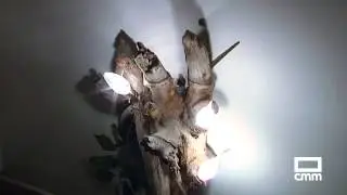 El Encanto de Palomera