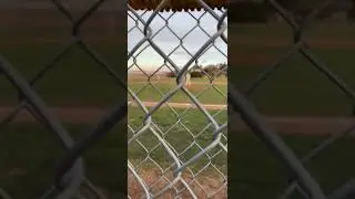Novato Baseball v San Marin 2019
