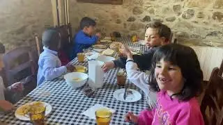 Colònies a cicle inicial