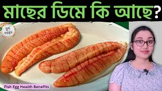 মাছের ডিম খাওয়ার উপকারিতা | মাছের ডিমের উপকারিতা | Macher Dimer Upokarita | Macher Dim Khele Ki Hoy