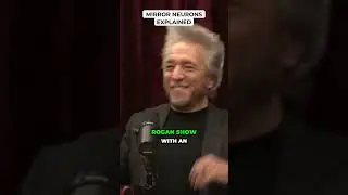 Mirror Neurons Explained - Gregg Braden #jre #shorts