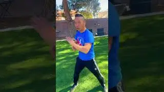 SNAKE KUNG FU TUTORIAL - vertical palm / 蛇拳教学￼