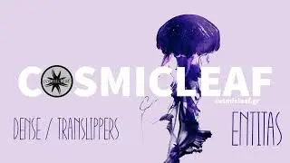 Dense & Translippers - Mood Coaxer