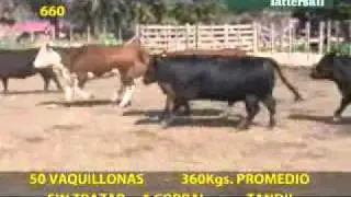 17 660.wmv