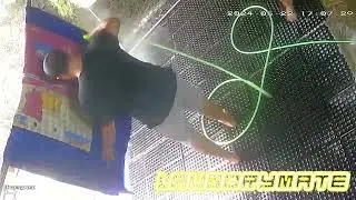 laundrymate