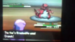 KLM Wifi Battles #8 Ddog VS Jagger (Monotype Battle)