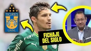 AMERICA'S BRAIN! 🧠 RAPHAEL VEIGA, THE MILLION-DOLLAR SIGNING THAT TIGERS DREAMS OF 💣