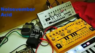 Noisevember Acid - Roland TB-03 & Behringer TD-3 - Boss Space Echo RE-2 & VD400 Delay Pedals
