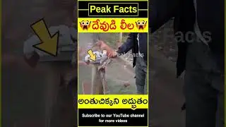 😯నిజమైన దేవుడి లీల😯 Amazing temple water #factsintelugu #amazingfacts #peakfacts #shorts