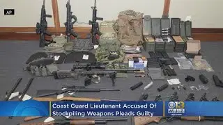 Coast Guard Lt. Christopher Hasson Pleads Guilty In Gun Case