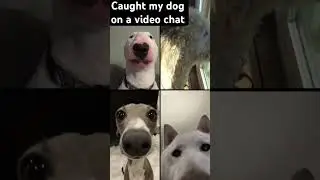 Caught  in a video chat
