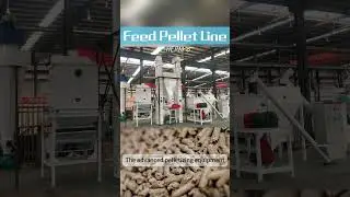 3-4 T/H Cattle Aniaml Feed Making Plant Manufacturer from China #feedmill #feedpelletmills