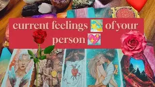 YE PERSON 24 HOURS APKO MANIFEST KARTE HAIN #currentfeelings #apkeperson #hinditaroreading