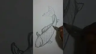 #Fish..by Pencil Shedding...