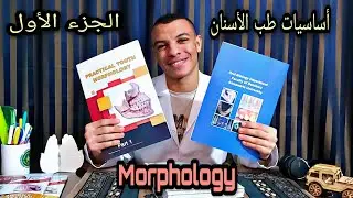 مقدمة عن أساسيات طب الأسنان| Morphology-Dental Anatomy