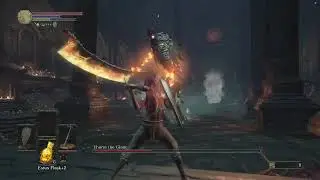 Ashen One vs Yhorm the Giant no damage
