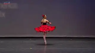 Ballet Dance Supplement