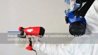 TampaBayMold.net Has Mold Inspection & Prevention Tips For Homeowners In 2025