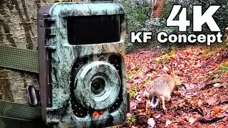 UNE CAMÉRA EFFICACE POUR PAS CHÈRE, ON TEST LE PIÈGE PHOTO 48MP DE K&F CONCEPT